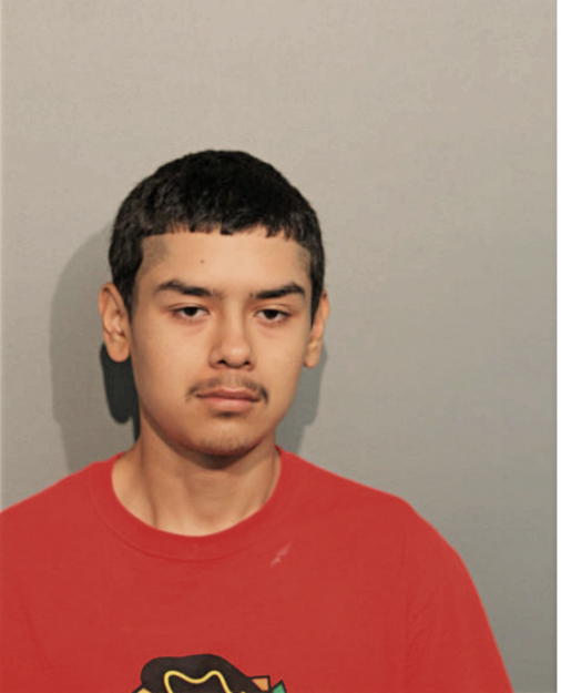 ADRIAN A MAYA, Cook County, Illinois