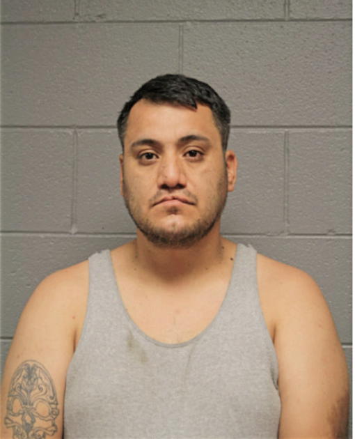 MOISES PARRA, Cook County, Illinois