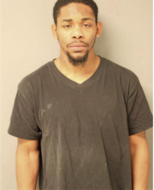 DARNELL E PAYNE, Cook County, Illinois