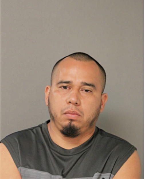 EDWIN RICARDO PESANTES-CAMPOVERDE, Cook County, Illinois
