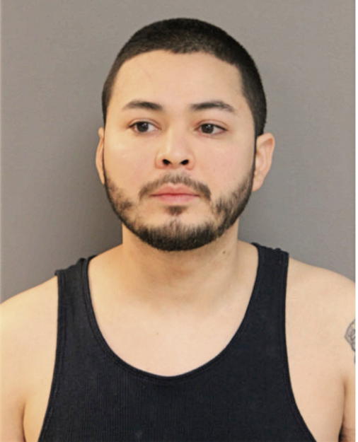 RODOLFO V ROMERO, Cook County, Illinois