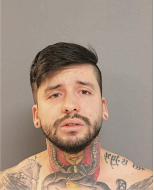 DIEGO E SANTOYO, Cook County, Illinois