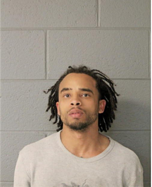 MICHAEL D STEER, Cook County, Illinois