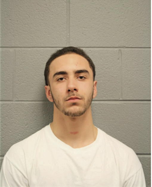 JOHN F STEWART, Cook County, Illinois