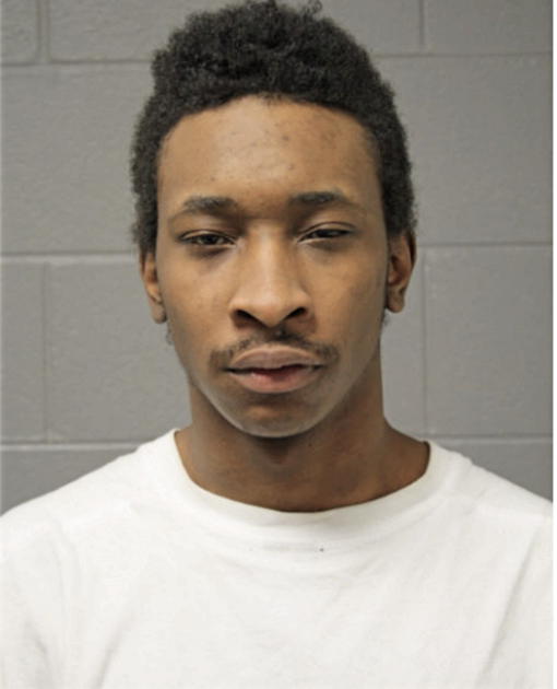 CAMERON WILSON, Cook County, Illinois