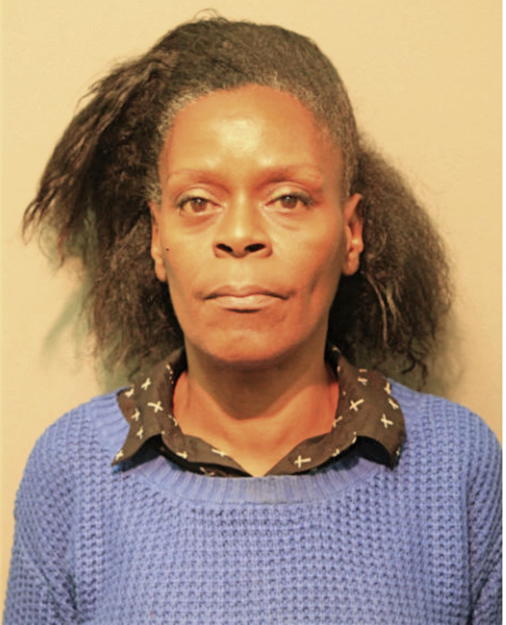 SARAH A WISE, Cook County, Illinois