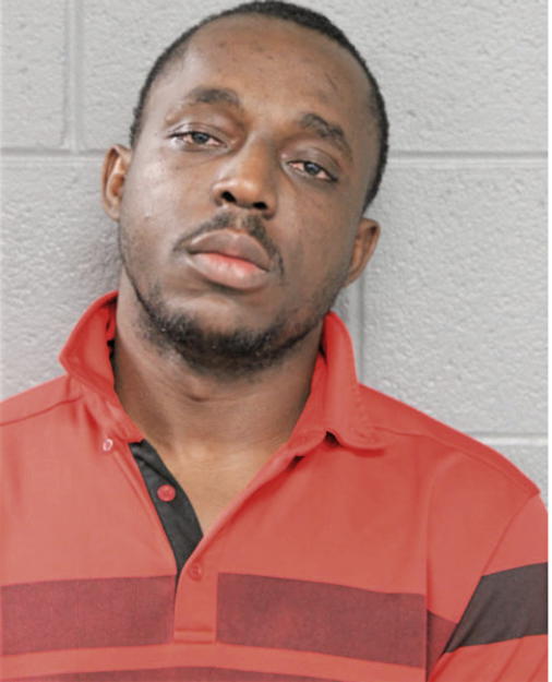 OLUWASEYI V AFUWAPE, Cook County, Illinois