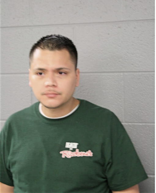 LUIS A AGUILAR, Cook County, Illinois