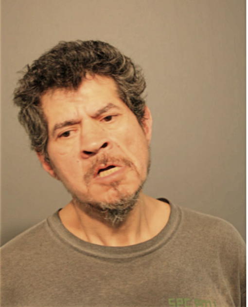MICHAEL E ALVARADO, Cook County, Illinois