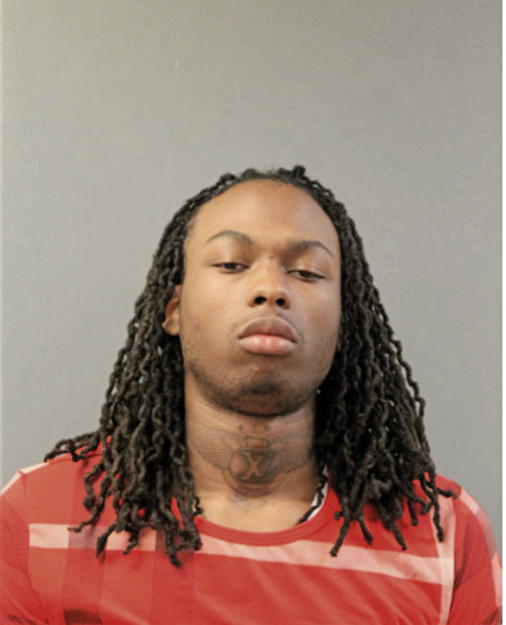 TYLER L CANFIELD, Cook County, Illinois
