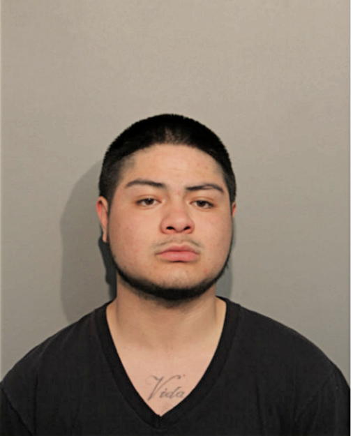 HERNAN CORTES, Cook County, Illinois