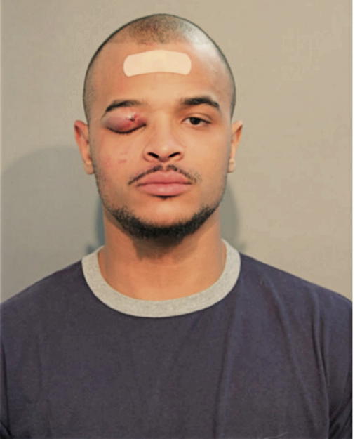 MICHAEL J DEDOMENICO, Cook County, Illinois