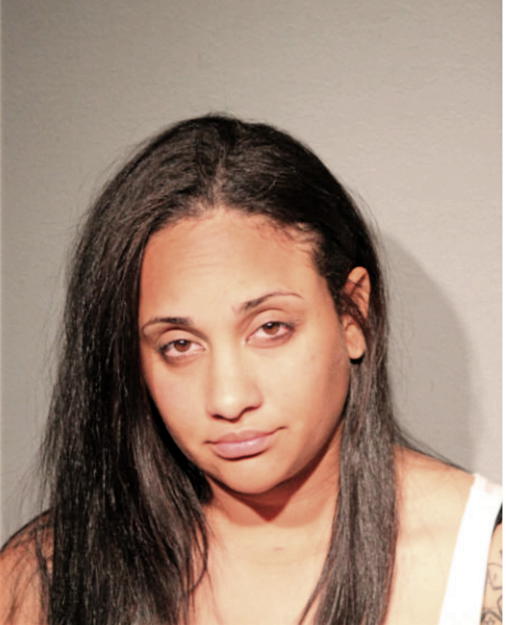 TATIANA L FLECHA, Cook County, Illinois