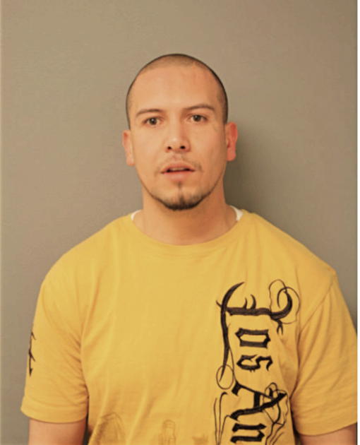 EDGAR FLORES, Cook County, Illinois