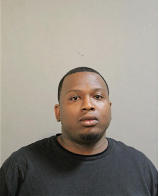 ROBERT L AVERY, Cook County, Illinois
