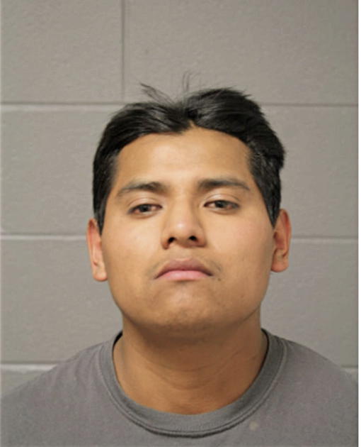 ALEJANDRO LAGUNAS, Cook County, Illinois