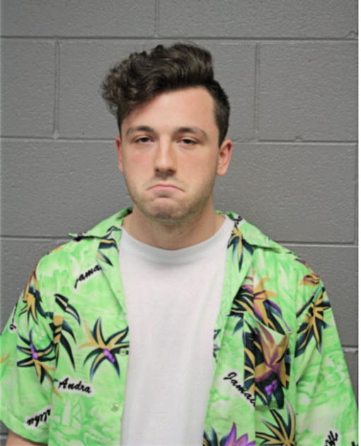RYAN J MAIERS, Cook County, Illinois