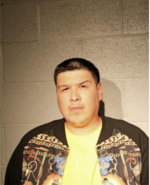 RENALDO J MARTINEZ, Cook County, Illinois