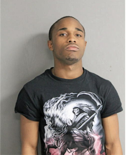 RASHAWN T MITCHELL, Cook County, Illinois