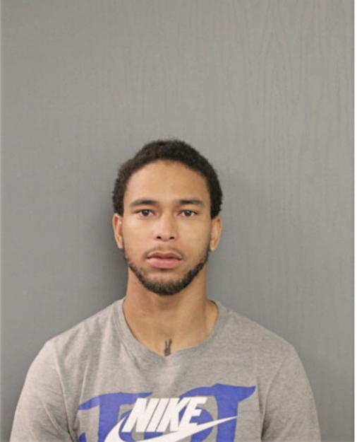 MICHAEL D NIX, Cook County, Illinois