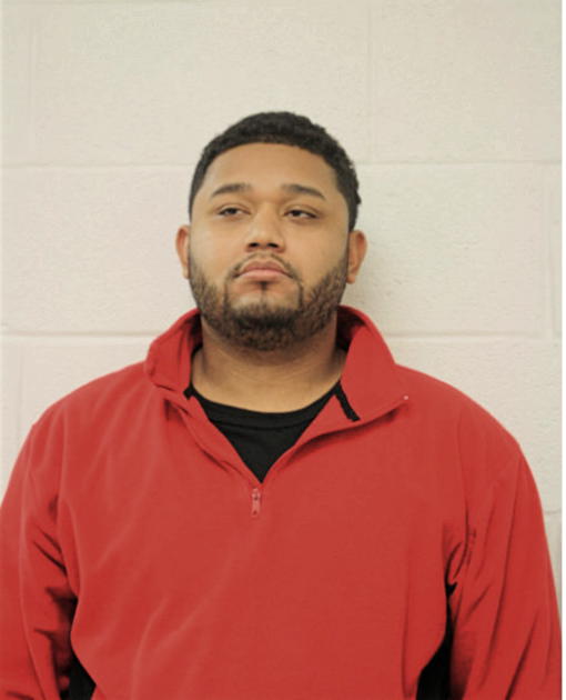 YAIR V PALACIOS, Cook County, Illinois