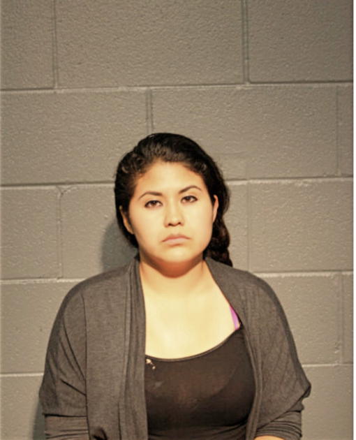 JOSEOYN RAMIREZ, Cook County, Illinois