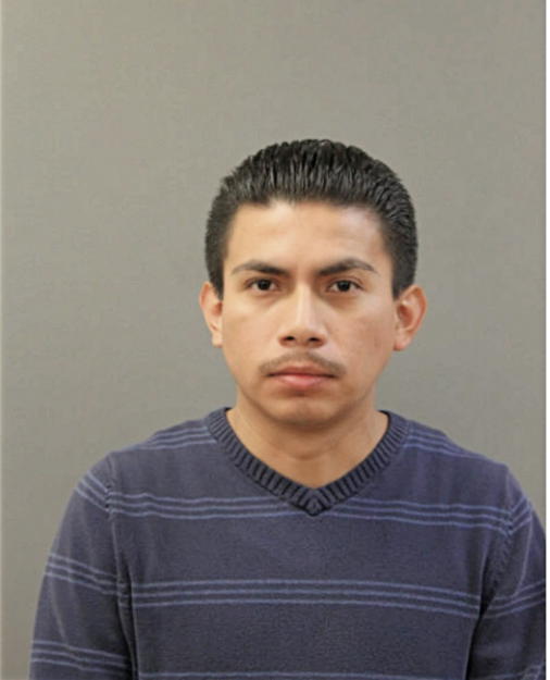 MARTIN SALINAS, Cook County, Illinois