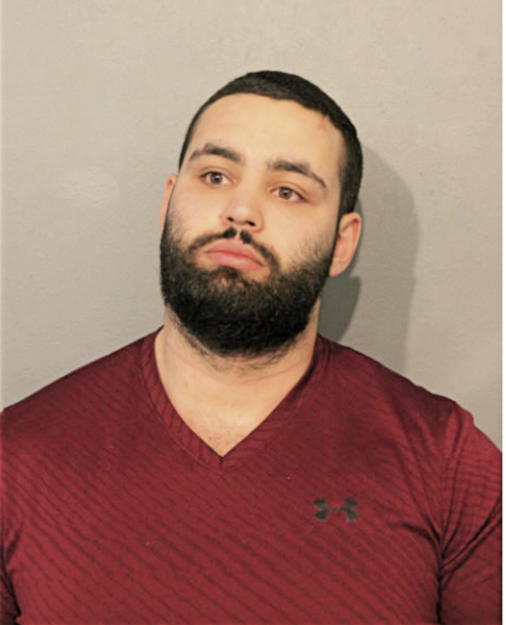 NICHOLAS J SAYEGH, Cook County, Illinois
