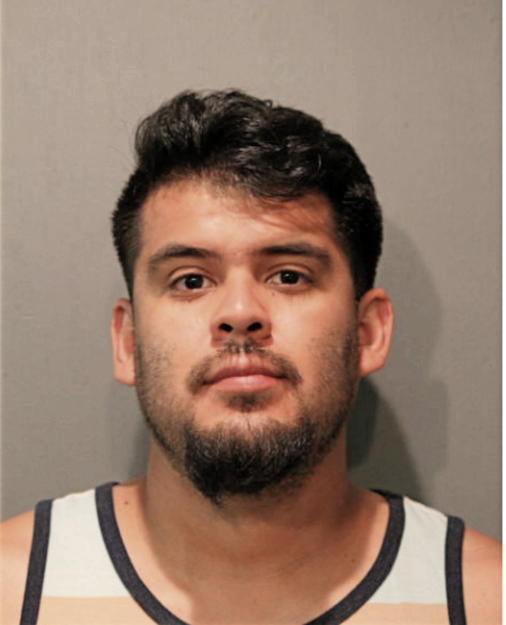 JESUS C TEJEDA, Cook County, Illinois