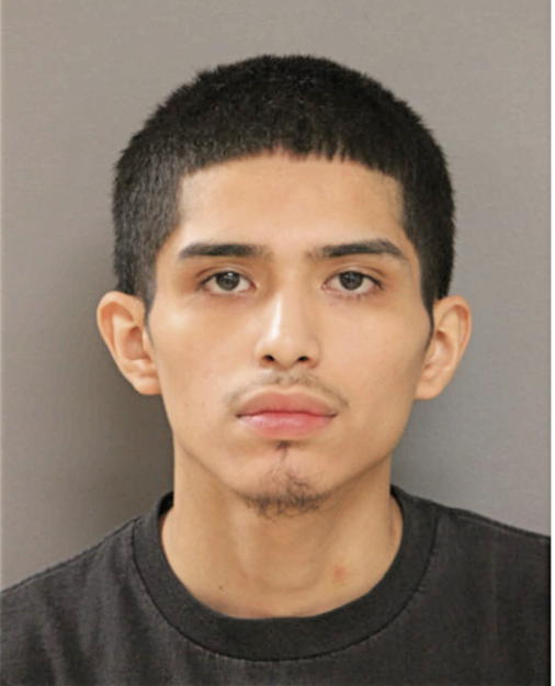 AMADEUS VARGAS, Cook County, Illinois