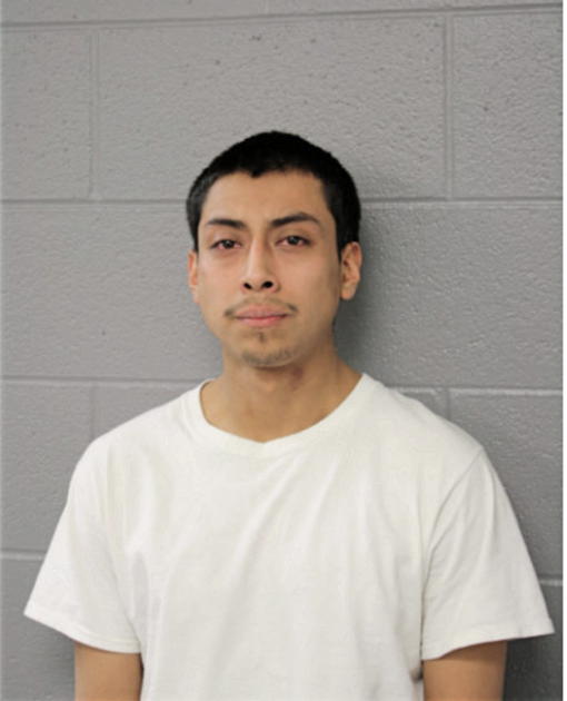 ROGELIO VERGARA, Cook County, Illinois