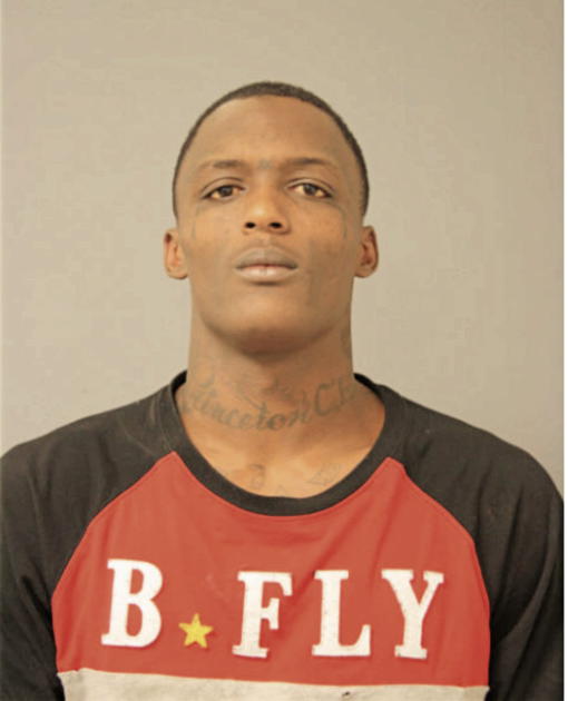 CHRISTOPHER D WATSON, Cook County, Illinois