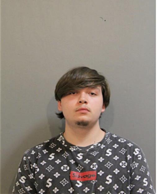 MATTHEW J WHITE, Cook County, Illinois