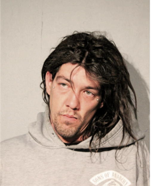 MICHAEL A WILLIAMSON, Cook County, Illinois