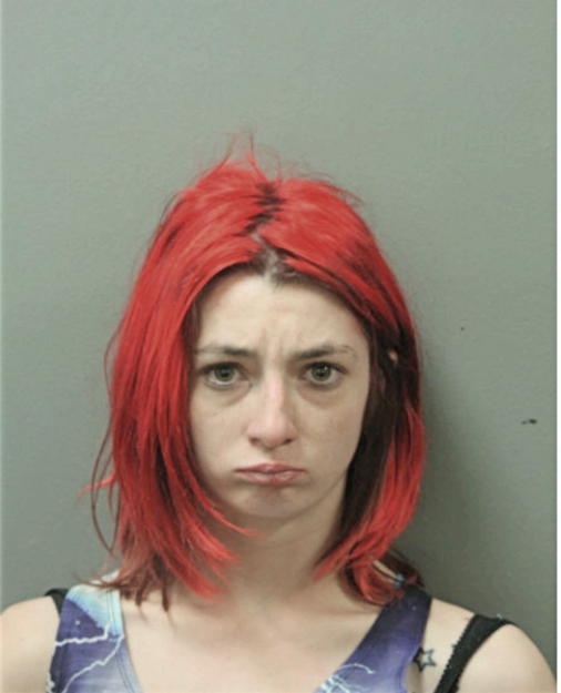 AMBER M WILSON, Cook County, Illinois