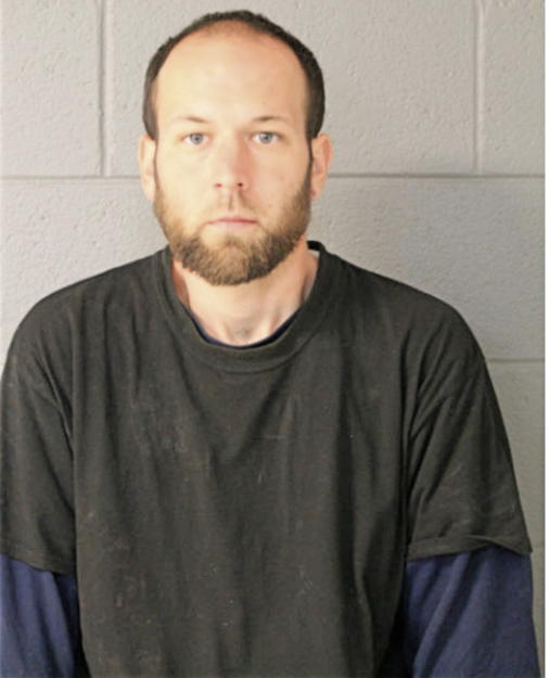 WAYNE L ADAMS, Cook County, Illinois