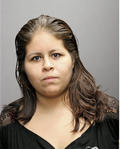 CAROLINA ARROYO, Cook County, Illinois