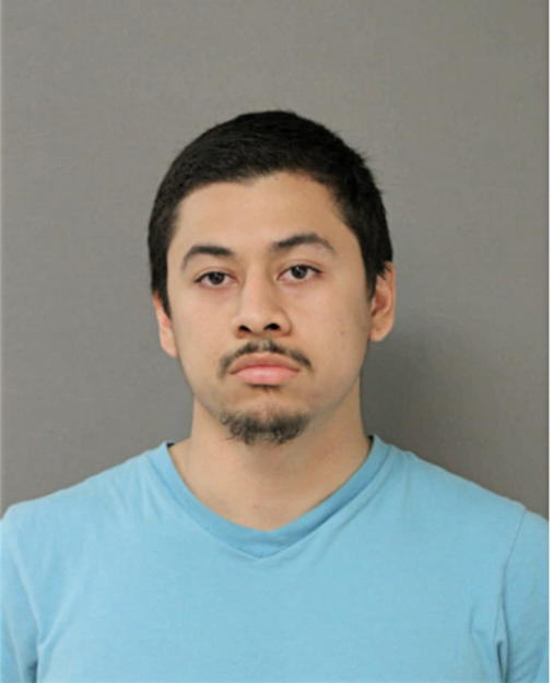 CARLOS JONATAN BAHENA, Cook County, Illinois