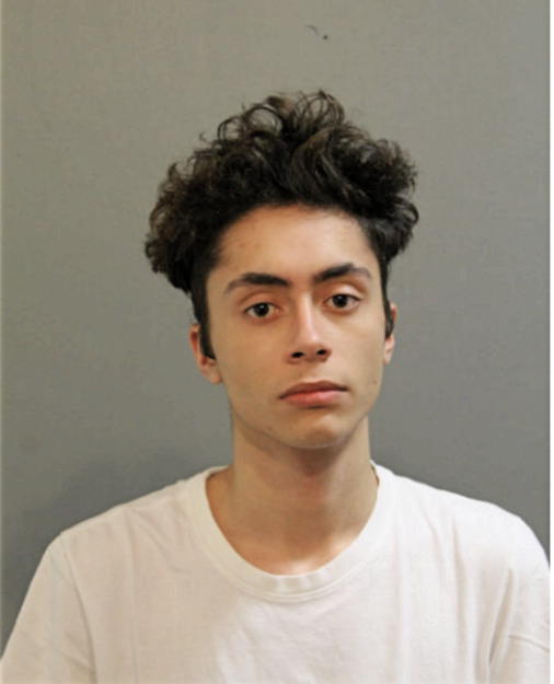 SEBASTIAN BARCENAS, Cook County, Illinois