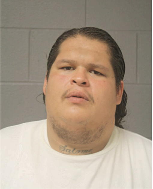CHRISTOPHER J CRUZ, Cook County, Illinois