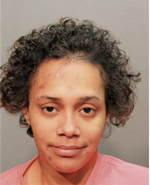 MELISSA G FLETCHER, Cook County, Illinois