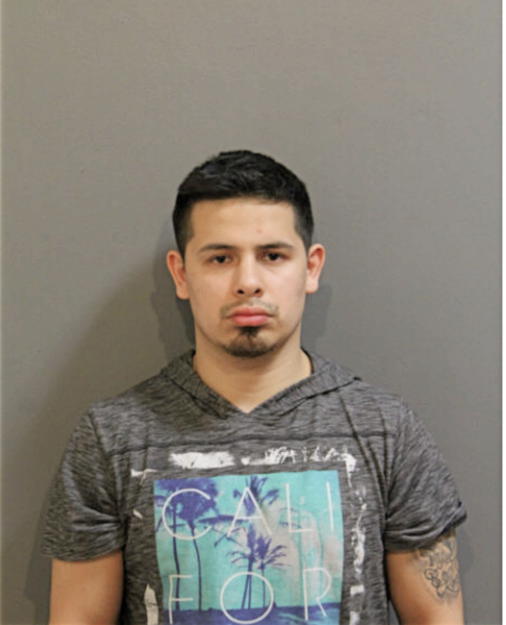 CESAR A GARCIA, Cook County, Illinois