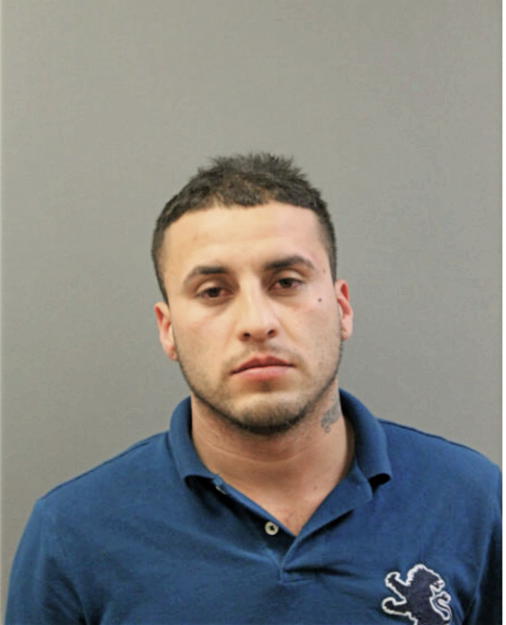 REGINALDO W GARCIA-TELLEZ, Cook County, Illinois