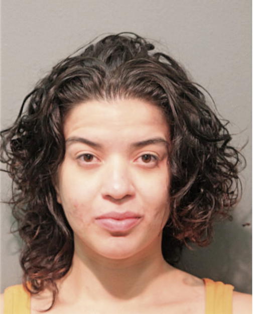 VANESSA N GARCIA, Cook County, Illinois