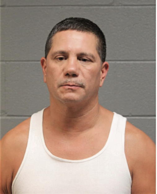 MICHAEL A GONZALEZ, Cook County, Illinois