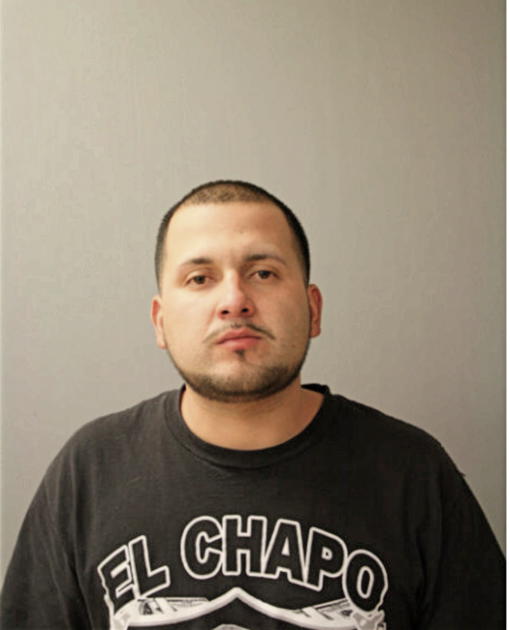 VICENTE ALFREDO GUZMAN-CARRERA, Cook County, Illinois