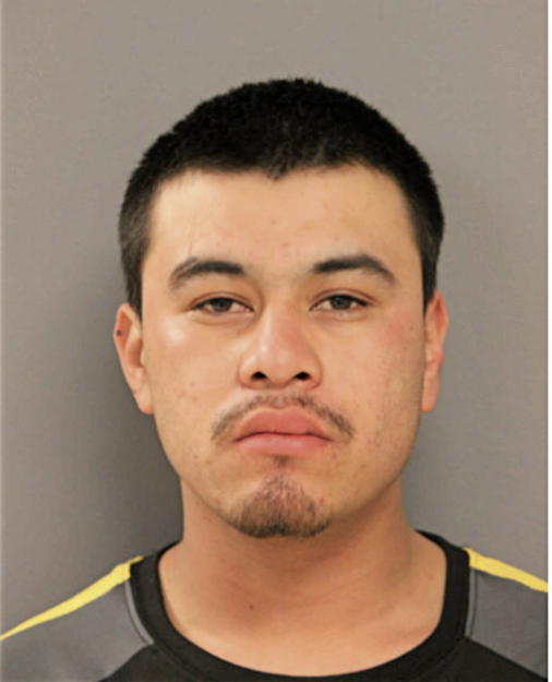 CHRISTIAN D HERNANDEZ, Cook County, Illinois