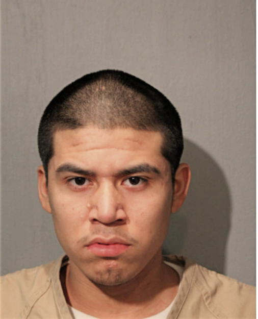 SANTINO C HERNANDEZ, Cook County, Illinois
