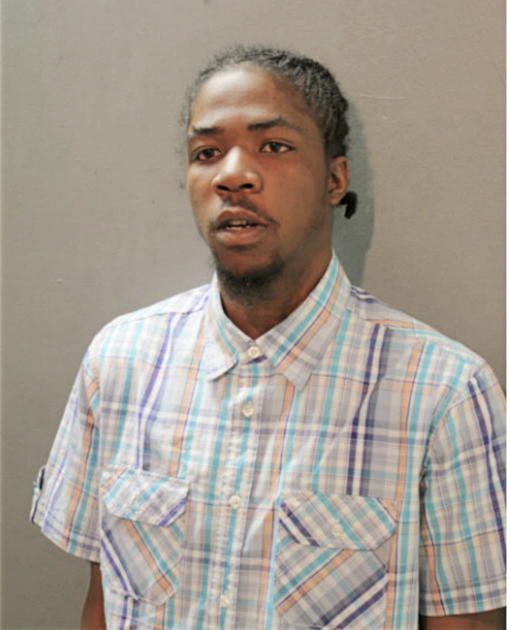 SAMUEL P HOLMES, Cook County, Illinois