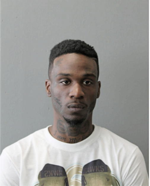 JOSHUA S HUNT, Cook County, Illinois
